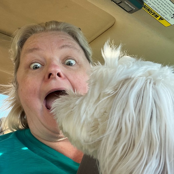 Meet your Posher, Tessa - Picture 8 of 8